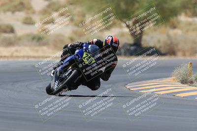 media/May-14-2023-SoCal Trackdays (Sun) [[024eb53b40]]/Turn 5 Tree of Life (1125am)/